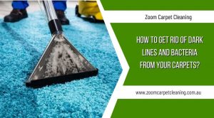 Read more about the article How to Get Rid of Dark Lines and Bacteria from Your Carpets?
