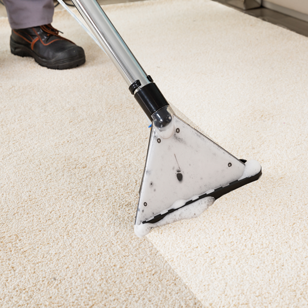 Commercial Carpet Cleaning Services Brisbane Local Commercial Carpet