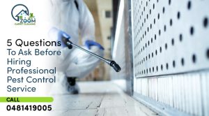 Read more about the article 5 Questions To Ask Before Hiring Professional Pest Control Service