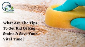 Read more about the article What Are The Tips To Get Rid Of Rug Stains & Save Your Vital Time?