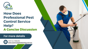 Read more about the article How Does Professional Pest Control Service Help? A Concise Discussion