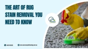 Read more about the article The Art of Rug Stain Removal You Need to Know