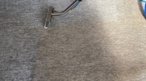 Read more about the article Top 3 Eco-Friendly Office Carpet Cleaning Practices