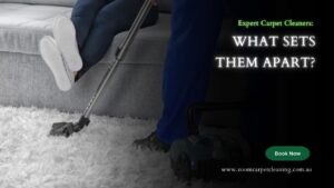 Read more about the article Know the Things Which Set Carpet Cleaning Experts Apart from Others