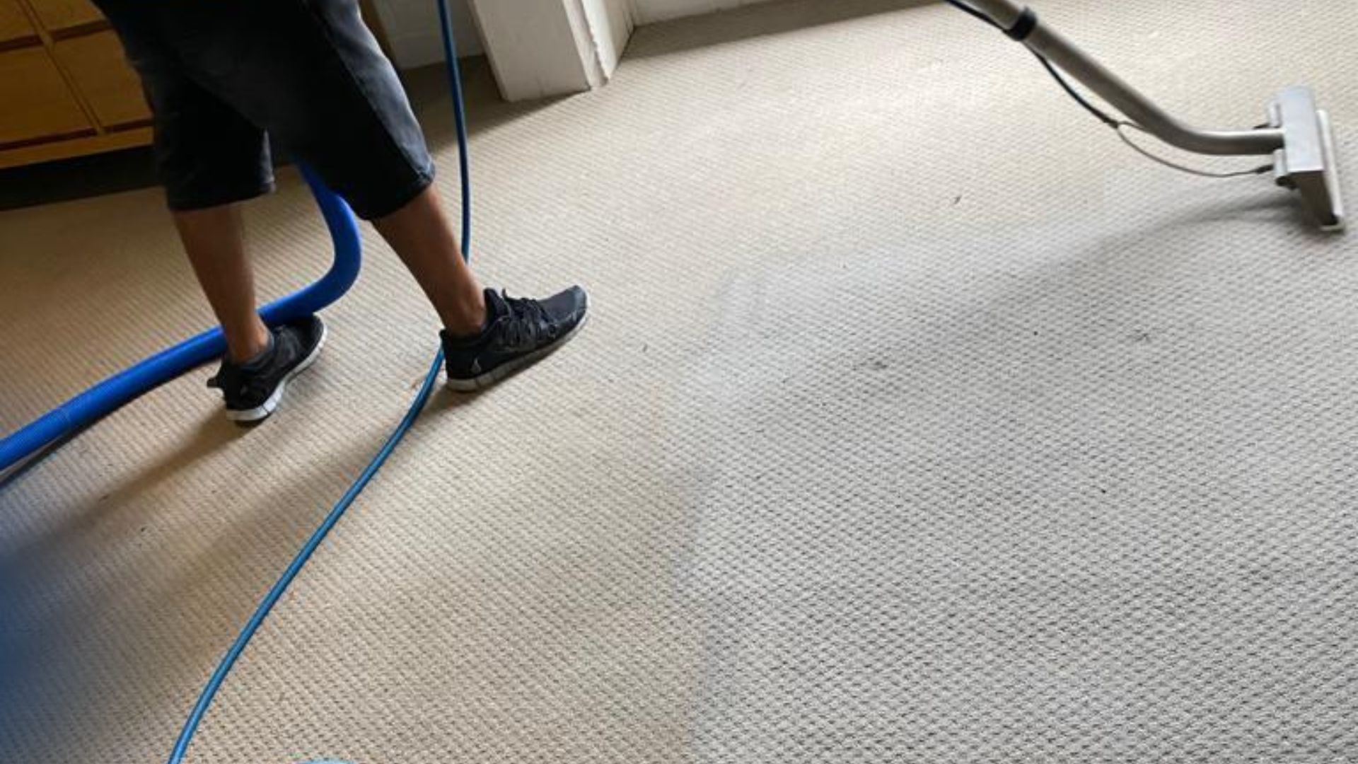 Read more about the article Can You Trust Carpet Dry Cleaners for Bringing Clean Comfort Back to Your Home?